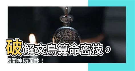 龜鳥卦破解|2017.09.23神秘52區／深夜中尋求解答 「龜鳥」。